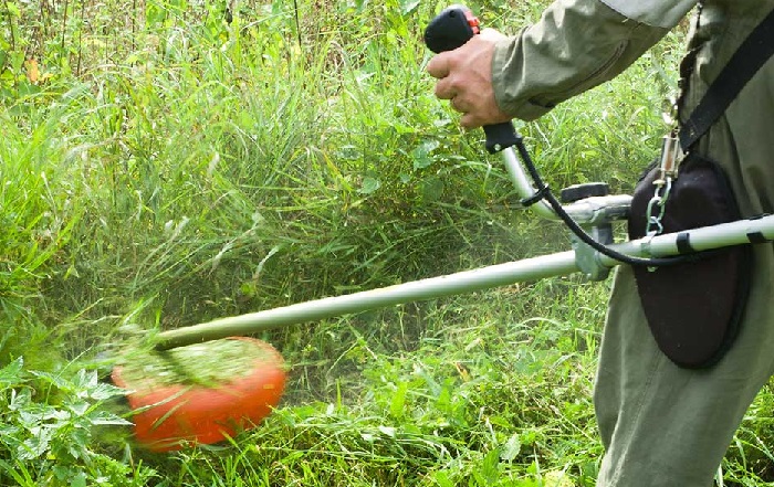 débroussaillage